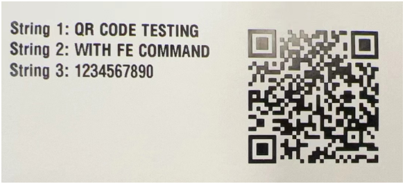 Using the FE Command to Print a QR Code Composed of Multiple Variables