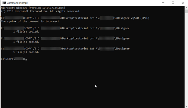 Print RAW File From CMD