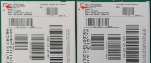 Label Shift or Compression After Print Head is Replaced