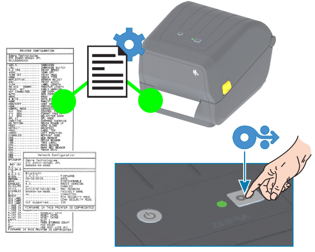 ZD888T Printer Startup Procedure
