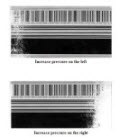 Exemplu de presiune dezechilibrată a printhead-ului Zebra
